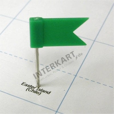 20 Pinn Fähnchen grün