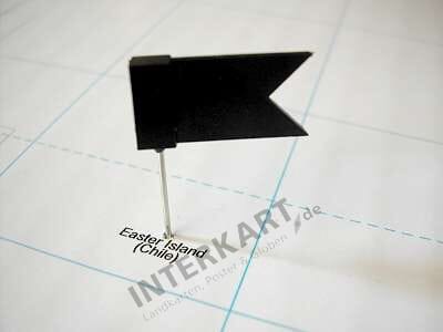 20 Pinn Fähnchen schwarz