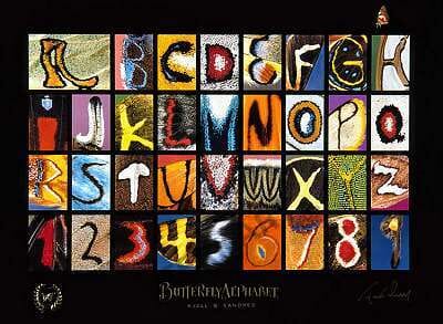 Schmetterlings Alphabet Poster