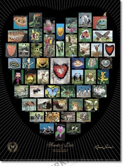 Natur Alphabet Poster #10 - Hearts and Love schwarz 46 x 61cm