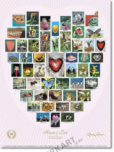 Natur Alphabet Poster #11 - Hearts and Love - weiß - 46 x 61cm
