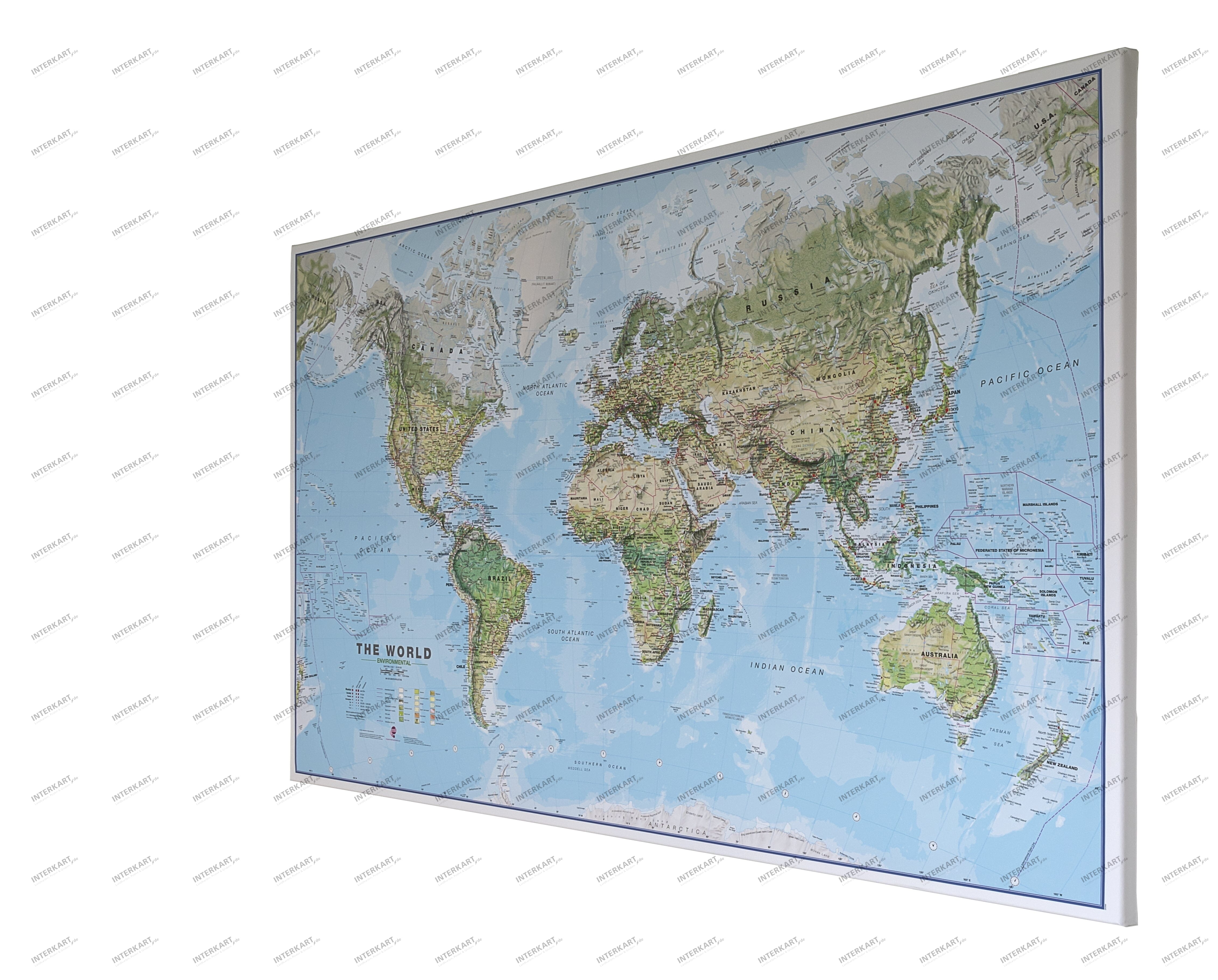 Environmental World Map on Canvas 90 x 60cm