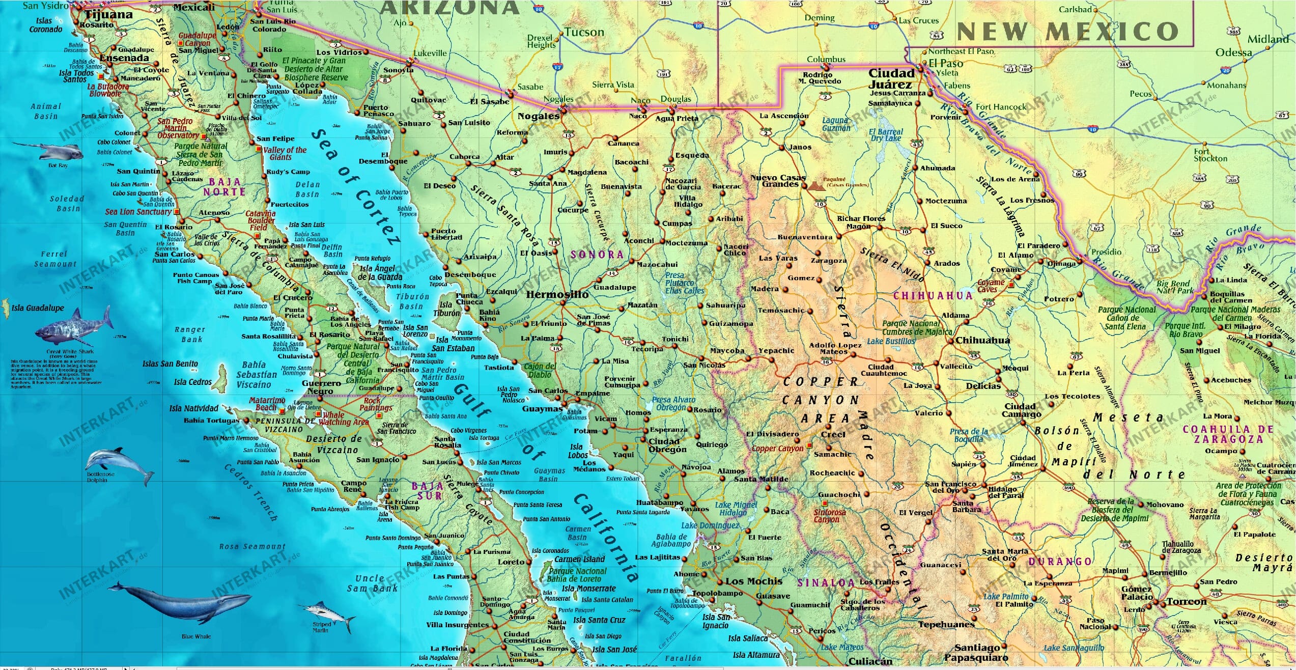 Mexico Physical Wall Map 135 X 87cm