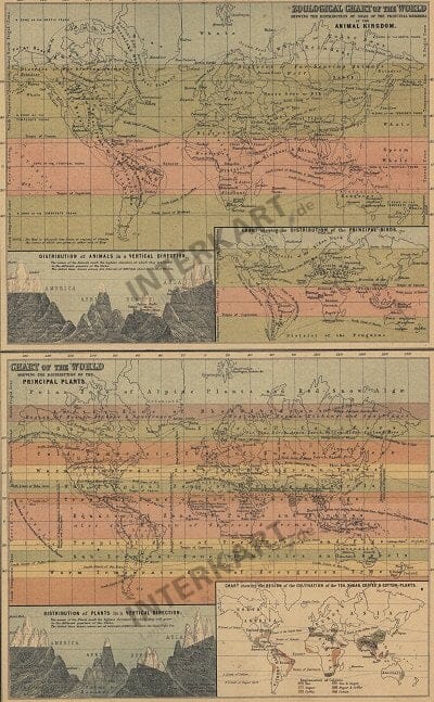1865 - Zoological Chart of the World 44 x 31cm