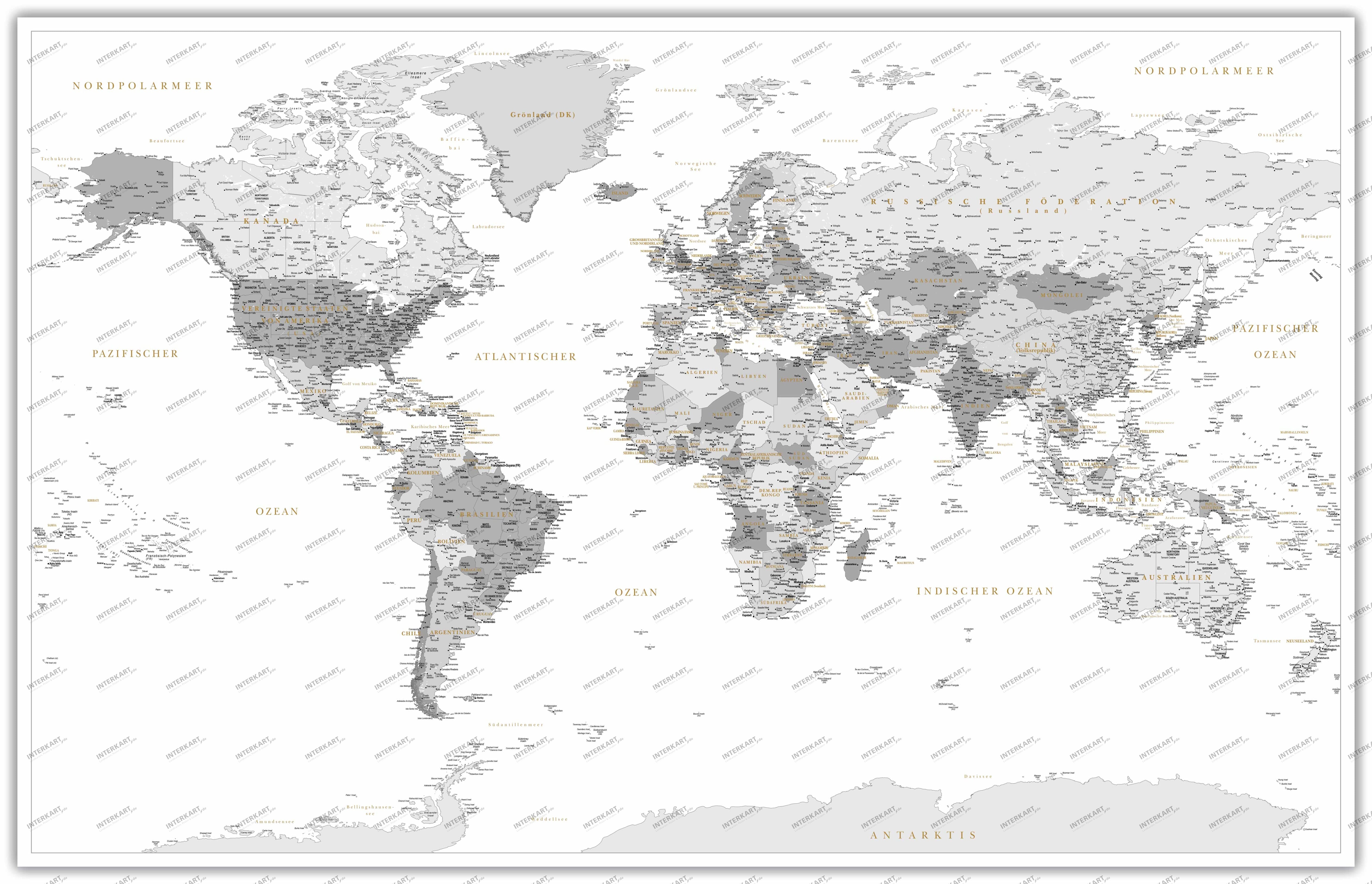 Decor World Map gray white