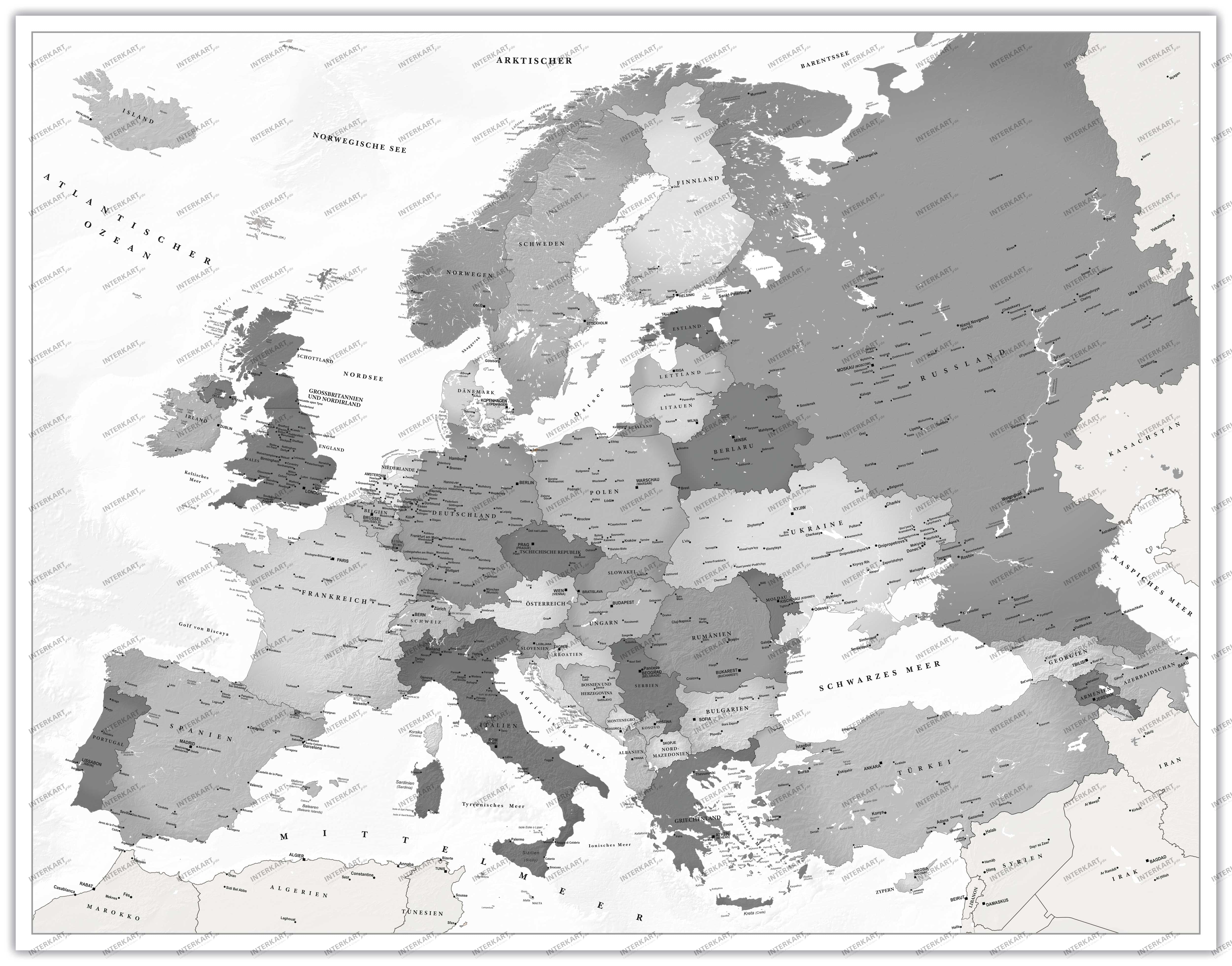Decor Europe map gray-white in German 80 x 60 cm