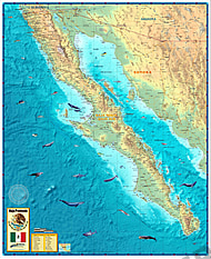 Baja California Map 78 x 95cm