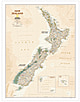 New Zealand map executive