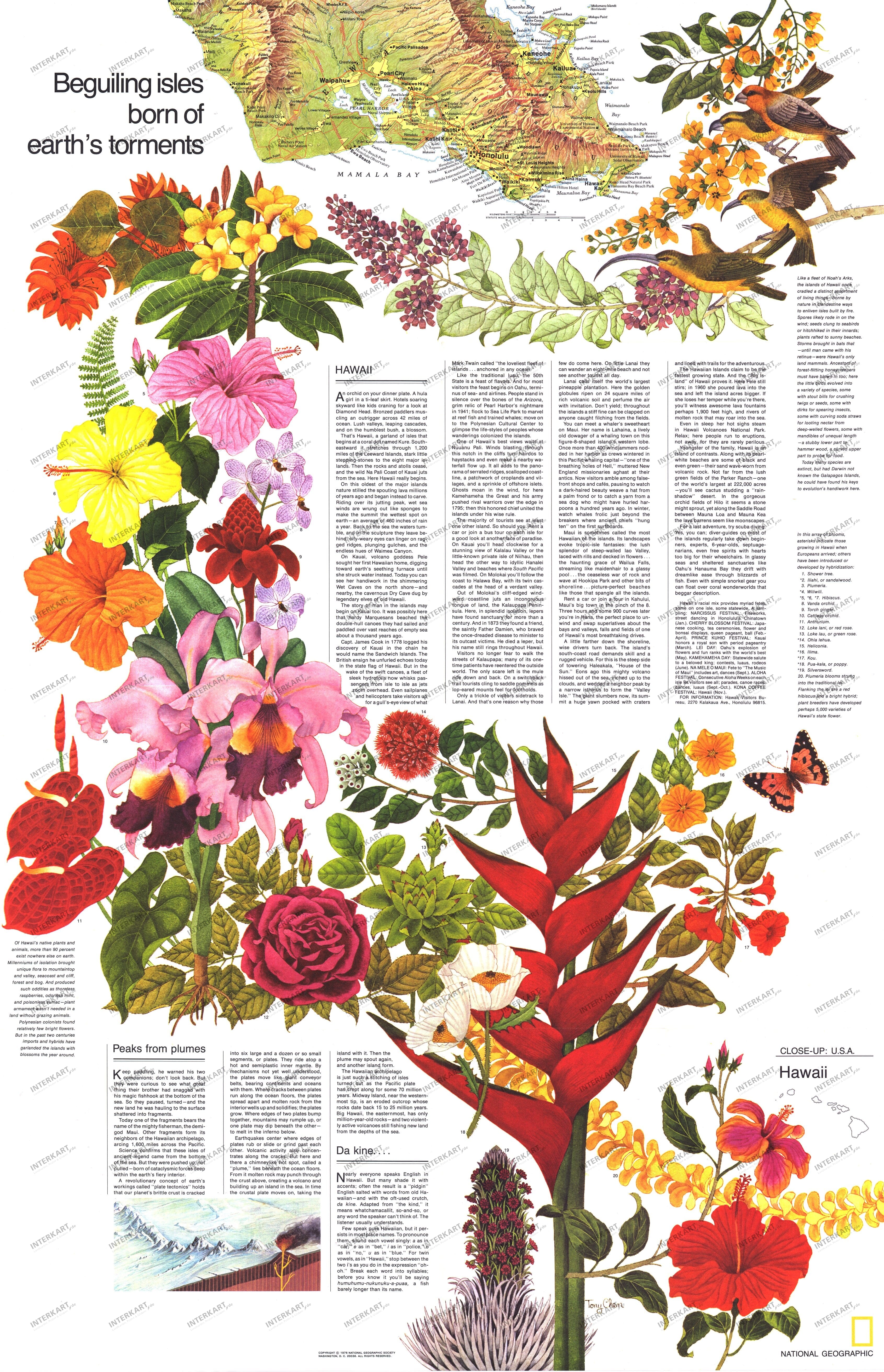 1976 Hawaii Beguiling Isles Map 57 x 89cm