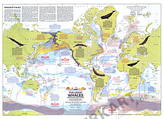 1976 Wale der Welt - Wanderwege 76 x 56cm