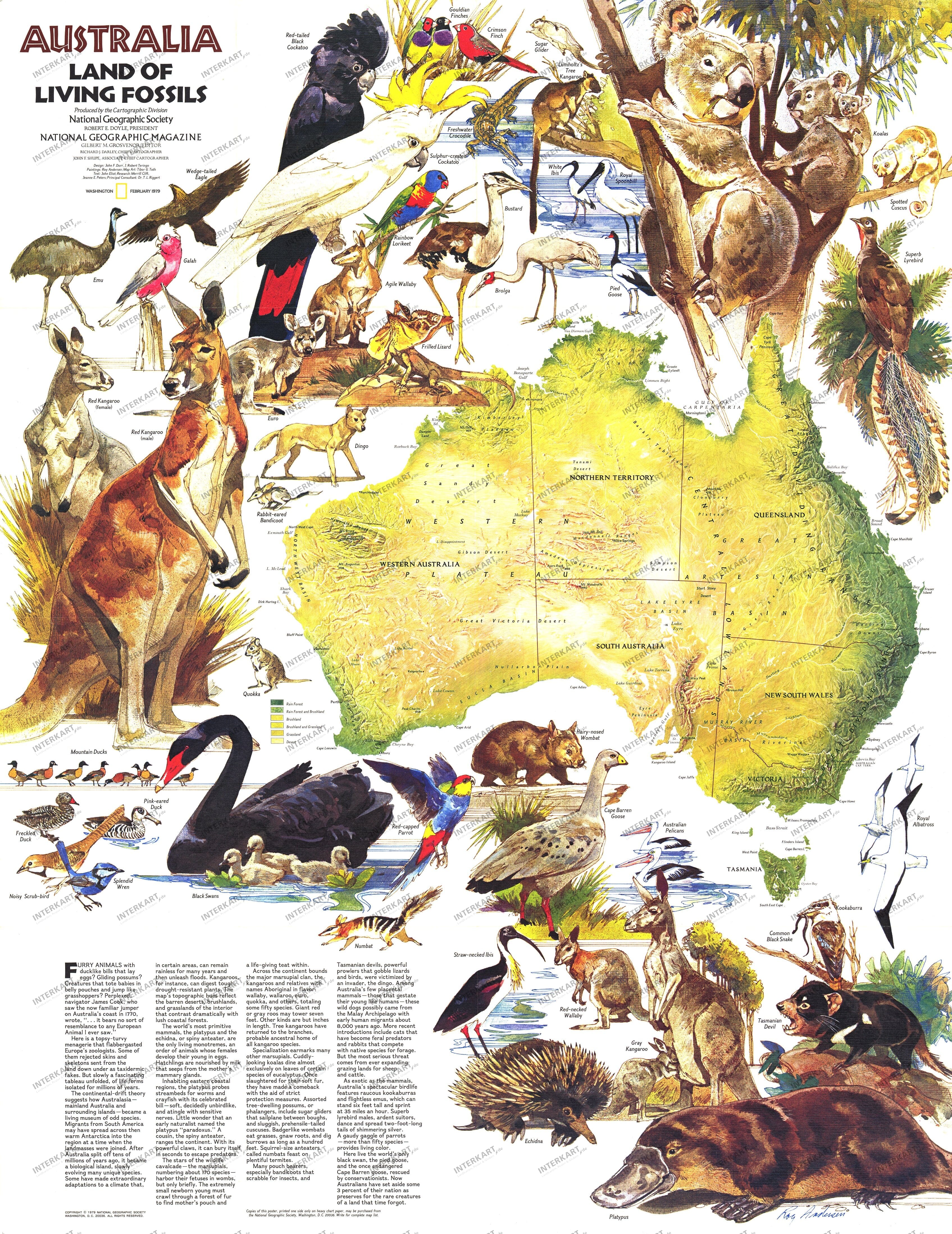 1979 Australia, Land Of Living Fossils Map 57 x 73cm