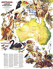1979 Australien, Land der lebenden Fossilien Karte 57 x 73cm
