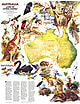 1979 Australien, Land der lebenden Fossilien Karte 57 x 73cm