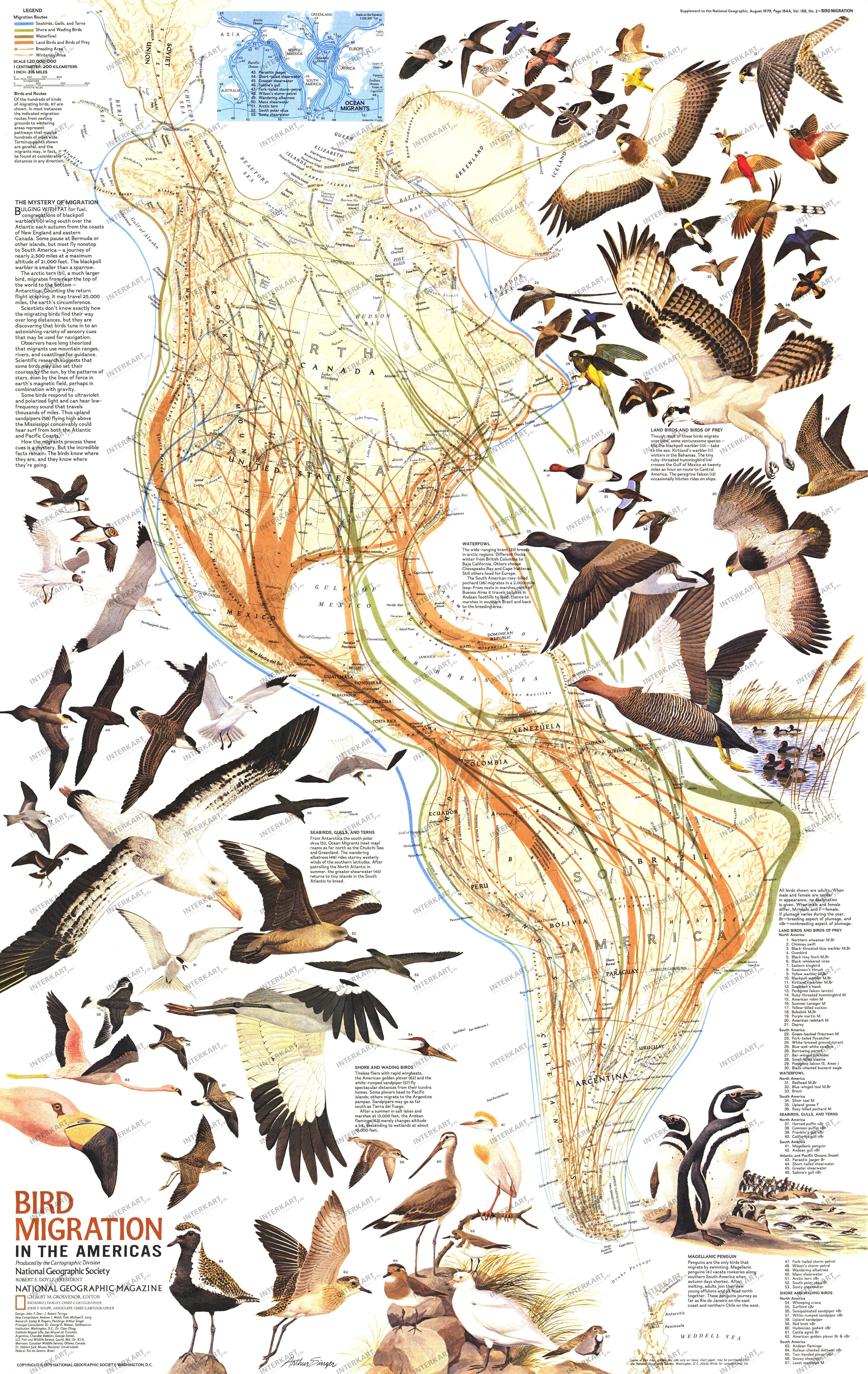 1979 Bird Migration In The Americas Map 57 x 91cm