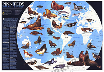 1987 Pinnipeds Around The World National Geographic