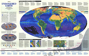 1988 Gefährdete Erde 117 x 74cm