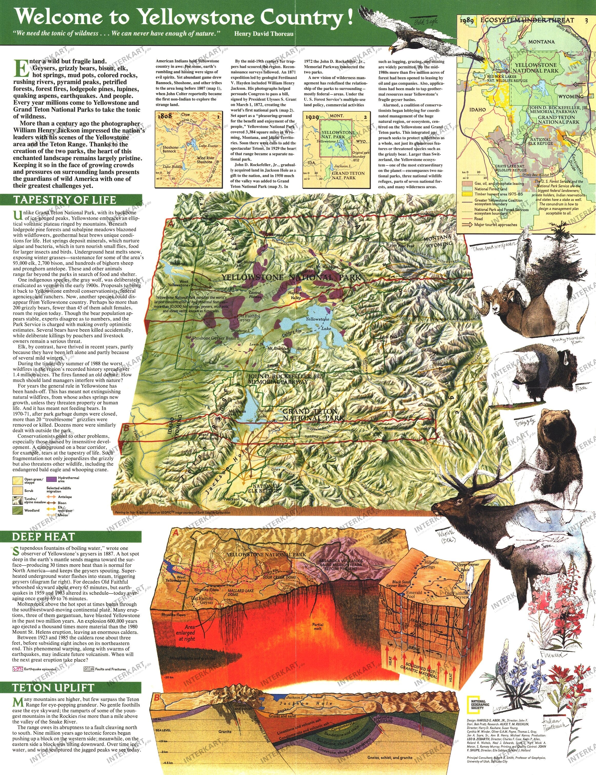 1989 Yellowstone And Grand Teton Map Side 2 from National Geographic