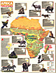 1990 Africa Threatened Map National Geographic